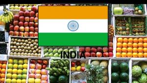 INDIA ES EL SEGUNDO MAYOR PRODUCTOR DE FRUTA DEL MUNDO