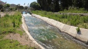 Infraestructura de riego: crisis y dolor