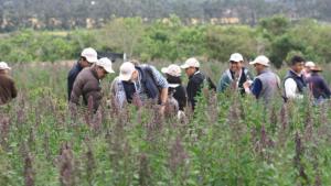 INIA CAPACITÓ A 300 PRODUCTORES DE HUÁNUCO, PASCO, HUANCAVELICA Y JUNIN