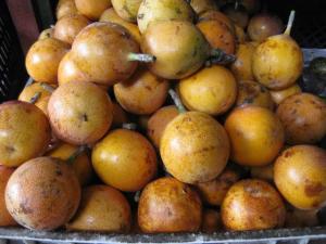 INIA OFRECE NUEVO CURSO PARA CULTIVOS DE GRANADILLA Y MARACUYÁ