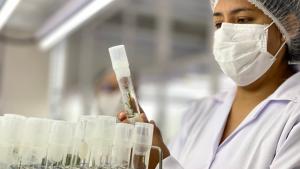 INIA: reconocida como la segunda institución peruana mejor ubicada en el SIR 2026