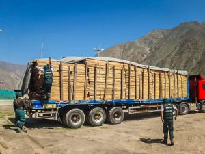 Inmovilizan madera procedente de Ucayali que no procedía de plantación forestal declarada