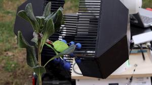 Inventan en Chile un robot que aprende a cosechar frutas delicadas