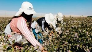 Invest International invierte € 3.5 millones en nueva explotación de ByBlue en Perú