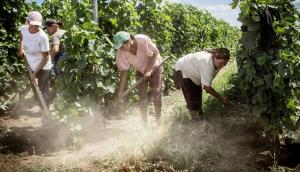 Investigación, Desarrollo e Innovación tema clave para la competitividad del país y del agro