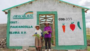 Invierten S/ 13.8 millones en fitotoldos para proteger cultivos de heladas en 14 regiones