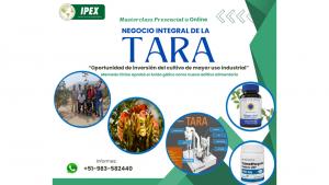 IPEX realizará la 1ª Masterclass presencial u online del Agronegocio Integral de la Tara