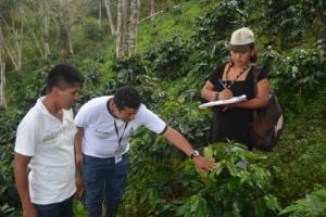 JNC es ahora Entidad Certificadora para Inspectores Internos de Unidades Productivas en Programas de Certificación de Café