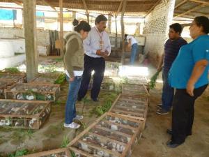 JUNÍN: CAPACITAN  A ESTUDIANTES Y PADRES DE FAMILIA EN AGRICULTURA ORGÁNICA