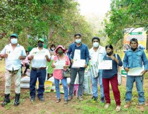 Junín: logran reducir en un 80 % incidencia de la mosca de la fruta en cultivos durante el periodo marzo-diciembre de este año