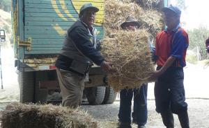 JUNÍN: REPARTIRÁN 25 MIL PACAS DE HENO Y KITS VETERINARIOS