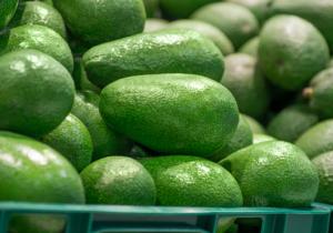 La diversificación de mercados debe acompañar el incremento de la oferta agroexportadora