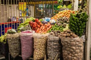 LA EFICACIA DE LA PEQUEÑA AGRICULTURA