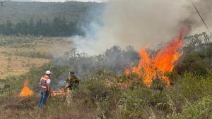 La Libertad ha perdido 2.990 hectáreas de cobertura vegetal por 42 incendios forestales