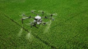 La paradoja de la innovación y la agricultura peruana