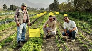 La salud empieza en casa, pero se defiende con política nacional, producción sana y responsabilidad pública
