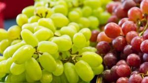 La sigilosa entrada de uva de Perú en España