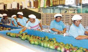 LAMBAYEQUE: EXPORTACIONES SUMARON US$ 473.7 MILLONES EN EL 2015