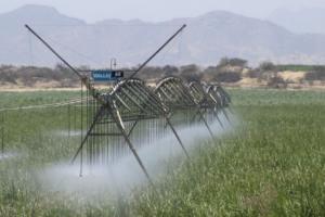 Lambayeque: instalación de plantas agroindustriales dinamizan el rubro metal mecánico