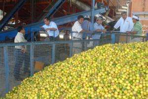 LAMBAYEQUE LIDERA EXPORTACIONES DE JUGO DE MARACUYÁ