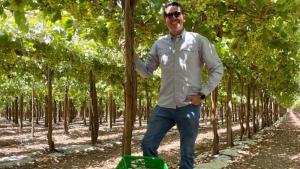 Las claves de la exitosa última campaña peruana de uva de mesa