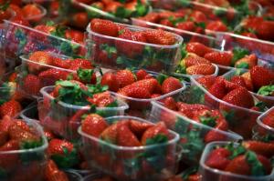 LAS FRESAS SON LOS BERRIES MÁS POPULARES DE BRASIL