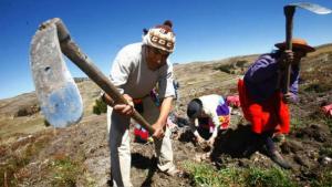 Levantar en alto nuestro escudo social…  ¡¡¡ el Agro!!!