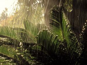 LLUVIA EN LA SELVA ESTA SEMANA POR TERCER FRIAJE DEL AÑO