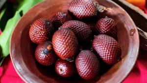 Loreto: Impulsan la calidad del aguaje y camu camu para fortalecer la economía amazónica