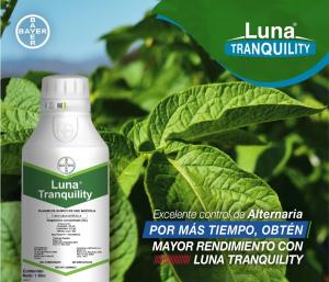 “Luna Tranquility”, herramienta contra oídio en uva de mesa