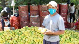 Maracuyá de Perú llegó a 16 mercados en mayo último, uno menos que en igual mes del año anterior