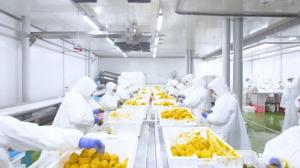 Mariposa Andina apuesta por frutas congeladas de nicho en mercados internacionales