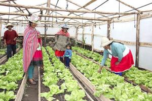 Más de 141.000 familias producen fertilizantes orgánicos para pequeños y medianos agricultores