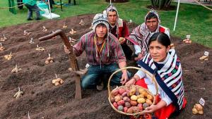 Más de 2 millones de productores alimentan al Perú