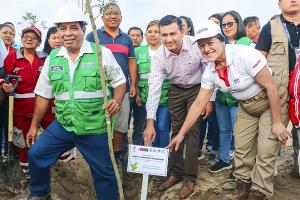 Más de 600.000 árboles plantados en más de 150 distritos del país