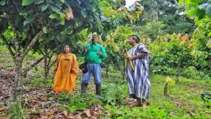 Más de 7.200 familias del VRAEM son fortalecidas en cadenas productivas de cacao y café