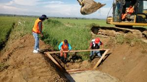 Más de 7,500 campesinos de Piura fueron empleados para la descolmatación de canales de regadío