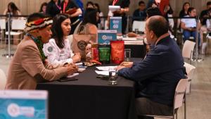 Más de S/ 22 millones en expectativas de negociación para cadena del cacao y chocolate
