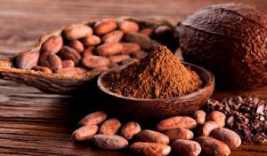 Más de S/ 4.4 millones en intenciones comerciales en Rueda de Negocios “Cacao y su Biodiversidad”