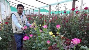 Más del 50% del trabajo que genera la floricultura en nuestro país es ocupada por mujeres