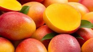 Más del 60% del mango orgánico peruano se destina a Estados Unidos