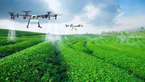 Mejoran en 70% productividad agrícola de más de 7.400 familias con tecnologías agronómicas