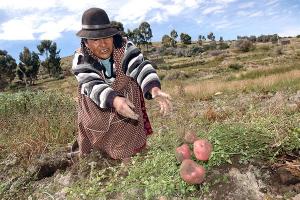 Midagri entrega cheques a organizaciones de mujeres de San Martín, Huánuco y Pasco para desarrollar planes de negocio