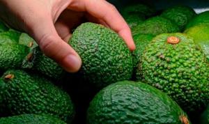 Midagri genera intención de compra de palta por cerca de S/ 10 millones