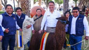 MIDAGRI: Gobierno creará el Consejo Nacional de Camélidos Sudamericanos