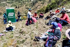 Midagri instala parcelas demostrativas para elevar calidad genética de papa en Junín