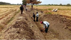 Midagri publicó nuevo Reglamento de Gestión Ambiental del Sector Agrario y de Riego