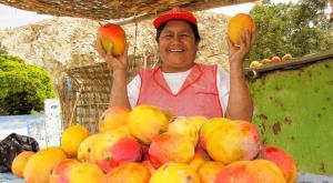 Midagri se reúne con productores de mango para apoyar su producción