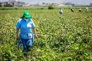 Midagri y gobiernos regionales suscriben planes de trabajo para titulación rural masiva en 10 regiones