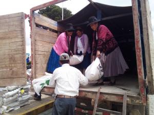 Minagri benefició a 1971 productores de la provincia de Melgar con entrega de semillas de pastos cultivados